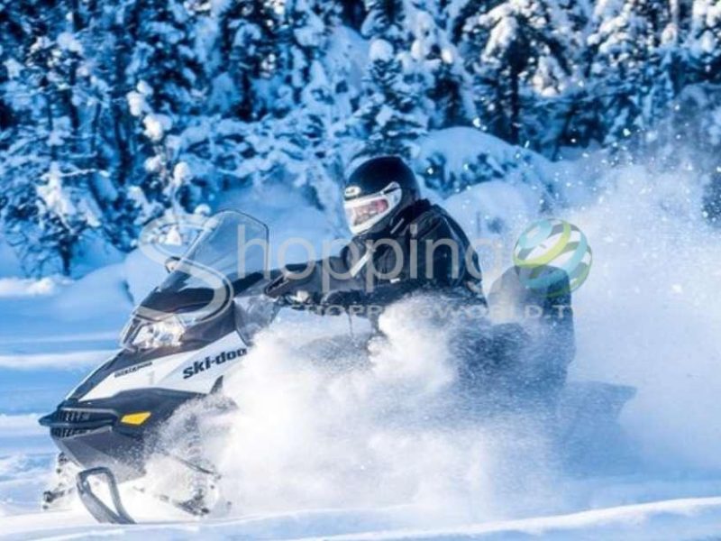 Guided fairbanks snowmobile tour in USA - Tour in Fairbanks
