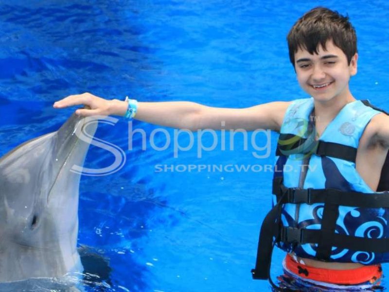 Gulf world marine park dolphin encounter in Panama City Beach - Tour in  Panama City Beach