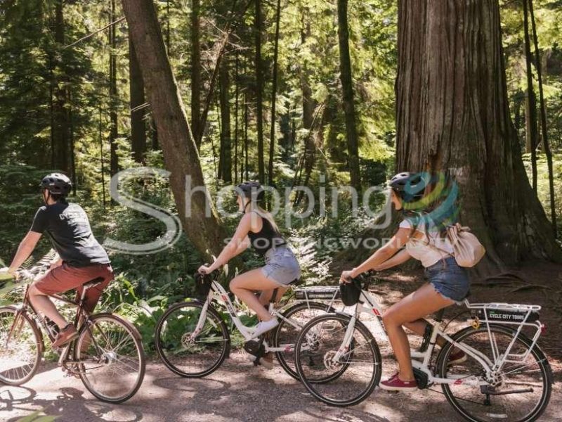Half-day city highlights e-bike tour in Canada - Tour in Vancouver