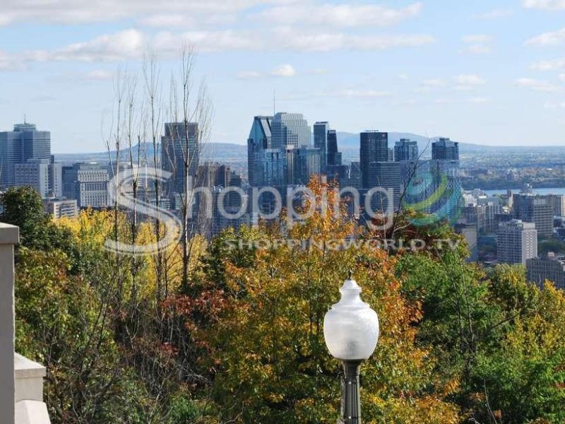 Half-day city tour in Montreal - Tour in  Montreal