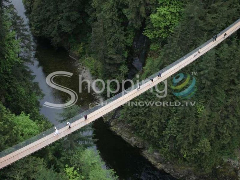 Half-day in Vancouver - Tour in  Vancouver