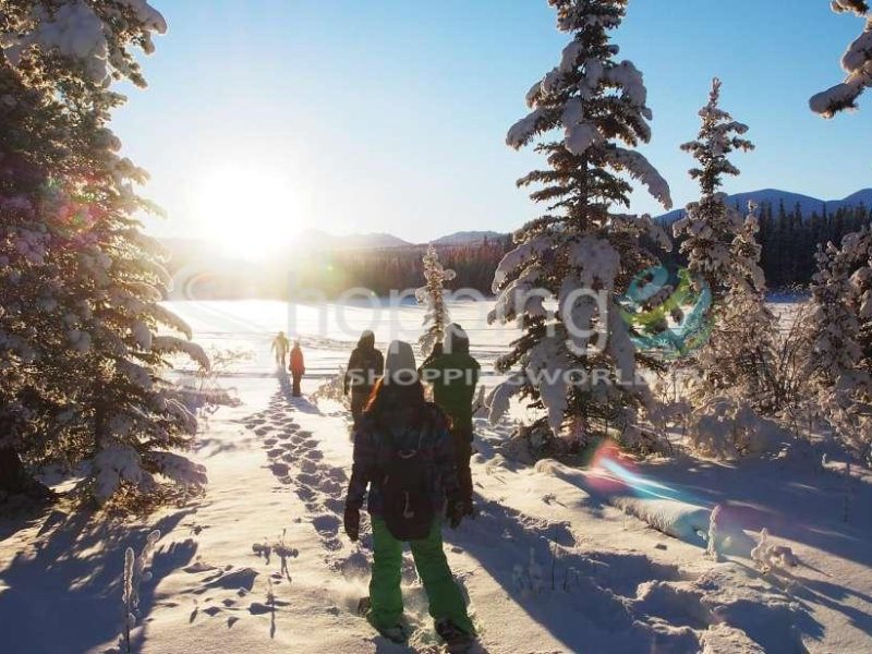 Half-day snowshoeing tour in Whitehorse - Tour in  Whitehorse