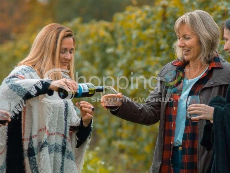 Half-day winery tour with tastings in Canada - Tour in Ontario