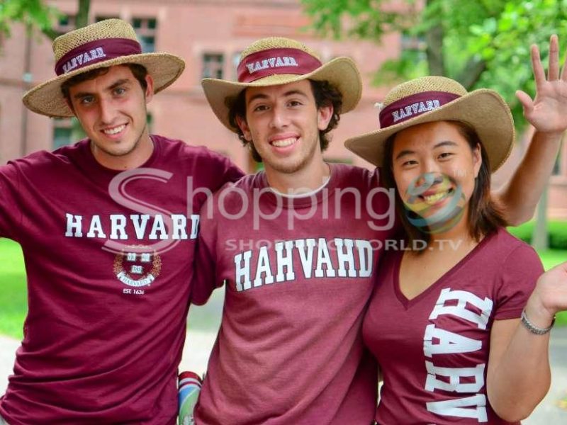 Harvard university and mit combo walking tour in Cambridge - Tour in  Cambridge