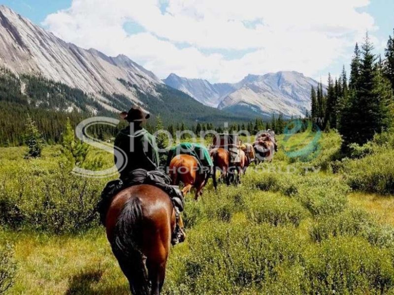 Helicopter tour and horseback ride in Banff - Tour in  Banff
