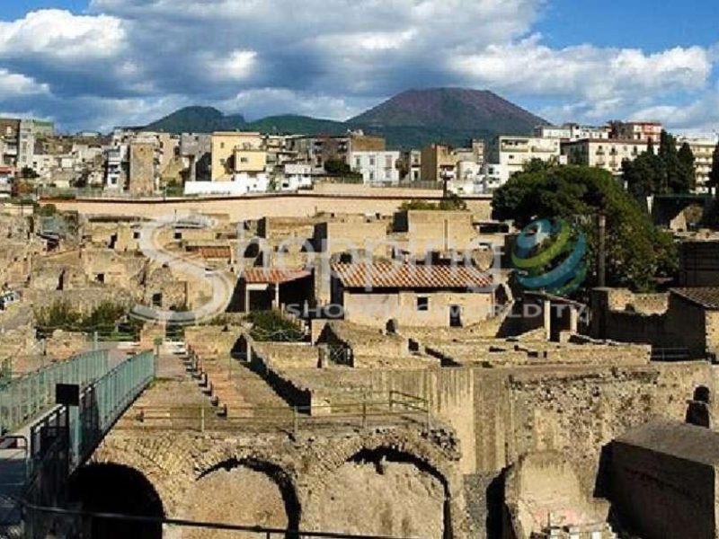 Herculaneum Guided Walking Tour In Naples - Tour in  Naples