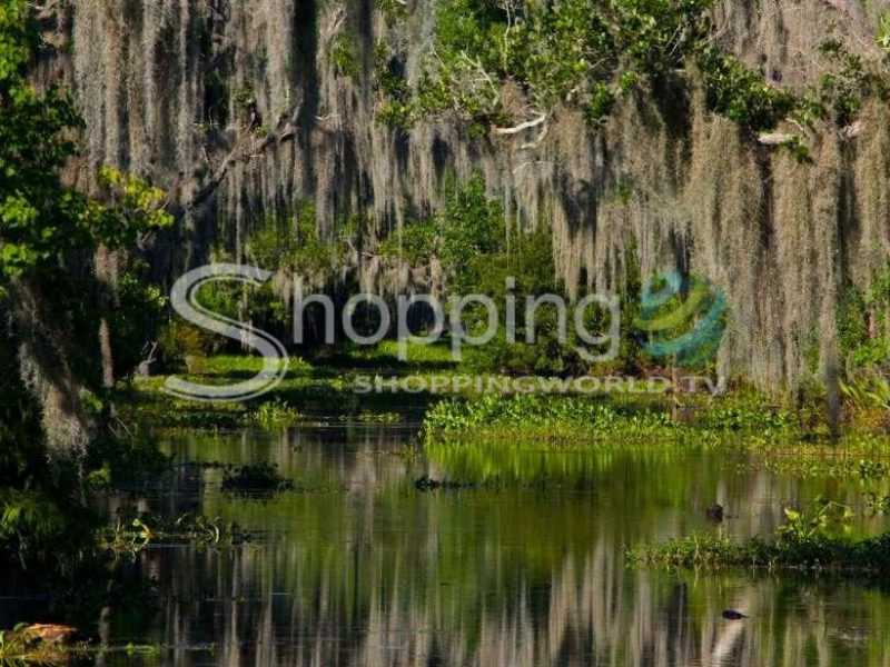 High speed 16 passenger airboat ride in New Orleans - Tour in  New Orleans