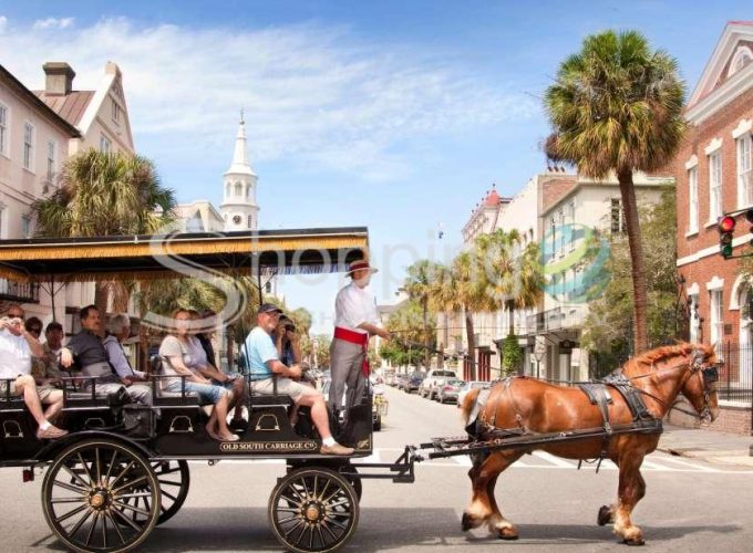 Historical downtown tour by horse drawn carriage in Charleston - Tour in  Charleston