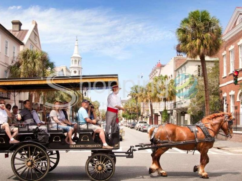 Historical downtown tour by horse drawn carriage in Charleston - Tour in  Charleston