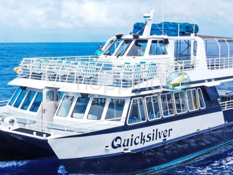 Lana'i snorkel and dolphin adventure cruise in USA - Tour in Hawaii