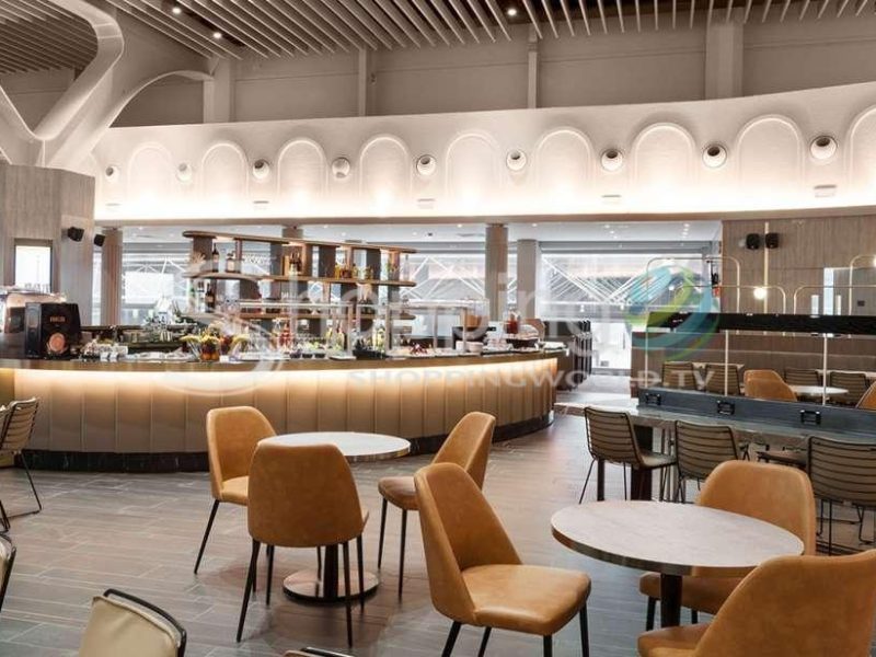 Leonardo Da Vinci-fiumicino Fco Airport Premium Lounge Pass In Rome - Tour in  Rome