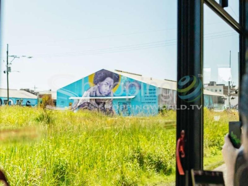 Luxury bus tour in New Orleans - Tour in  New Orleans