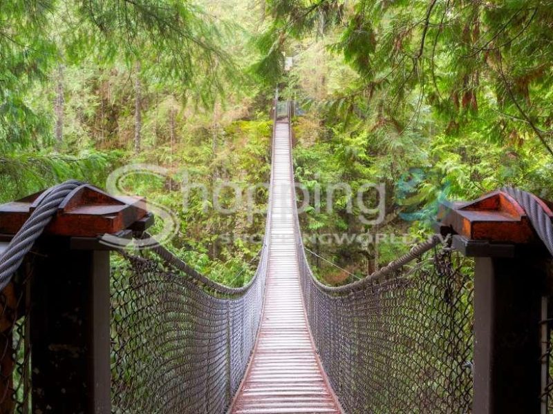 Lynn valley suspension bridge & nature walk tour in Vancouver - Tour in  Vancouver
