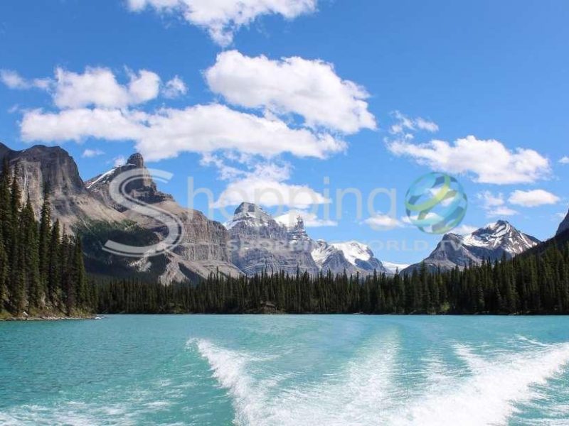 Maligne valley wildlife watching & boat tour in Jasper - Tour in  Jasper