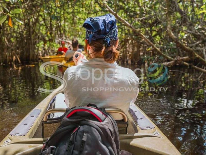 Mangrove tunnel kayak eco tour in Fort Myers - Tour in  Fort Myers