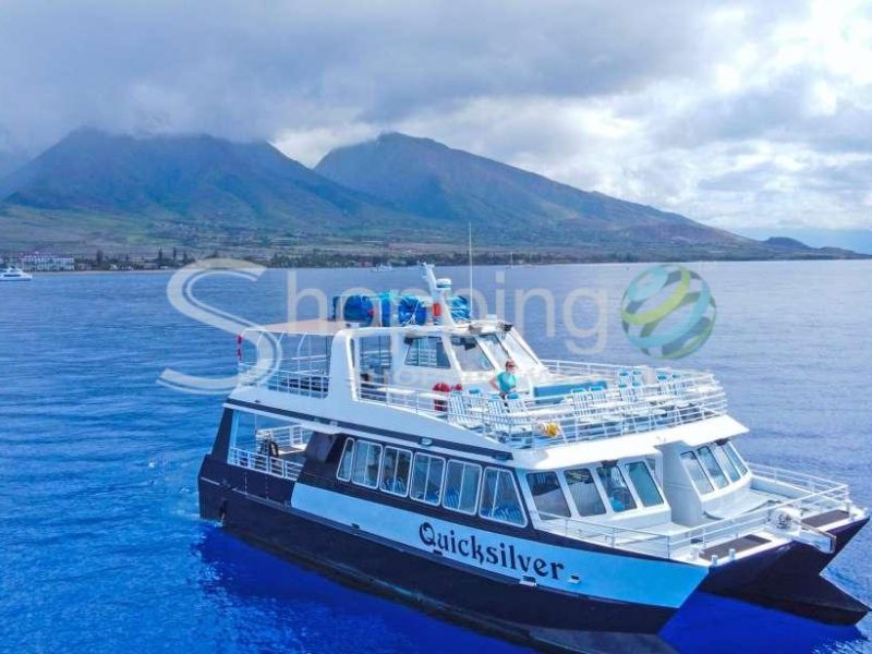 Maui channel whale-watching catamaran cruise in Hawaii - Tour in  Hawaii