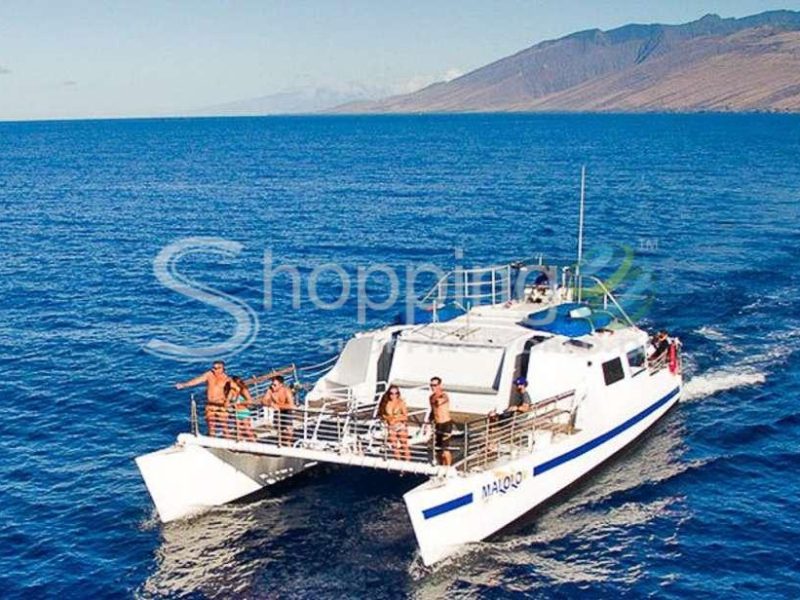 Molokini and turtle town snorkel with deli lunch in Hawaii - Tour in  Hawaii
