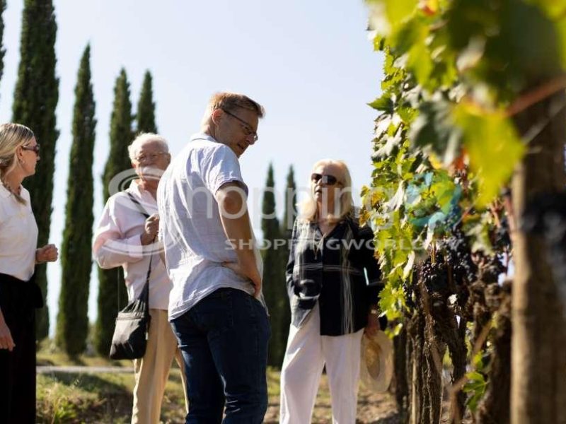 Montalcino Guided Winery Tour