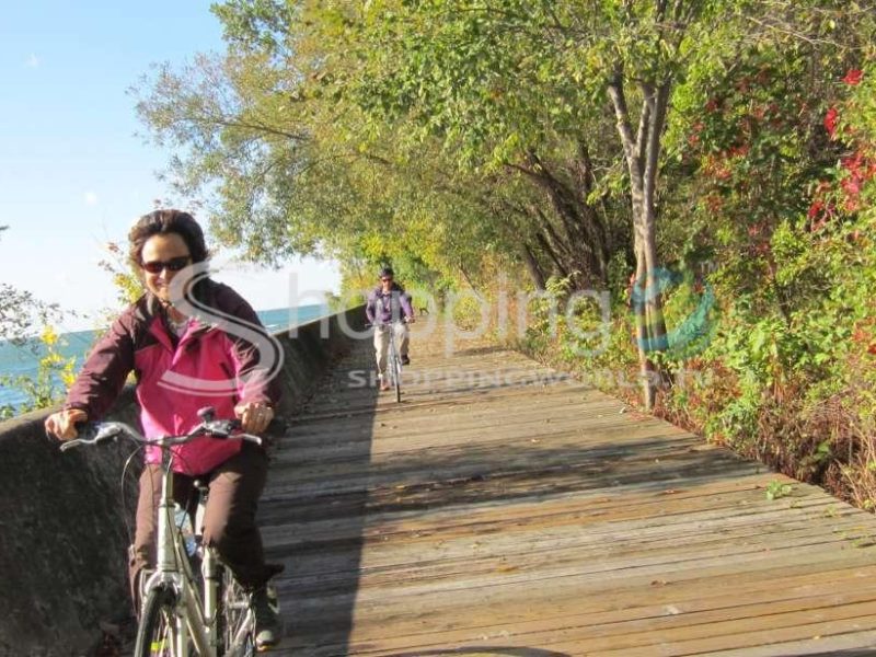 Morning or twilight 3.5-hour bike tour in Toronto - Tour in  Toronto