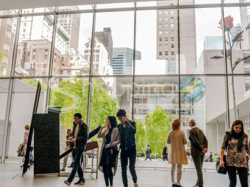 Museum of modern art (moma) timed entry ticket in New York City - Tour in  New York City