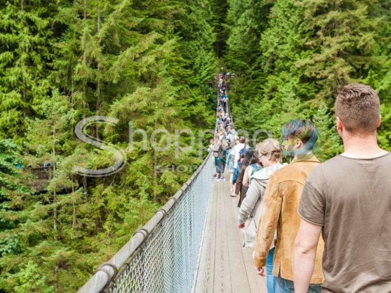 North shore and suspension bridge day trip in Vancouver - Tour in  Vancouver