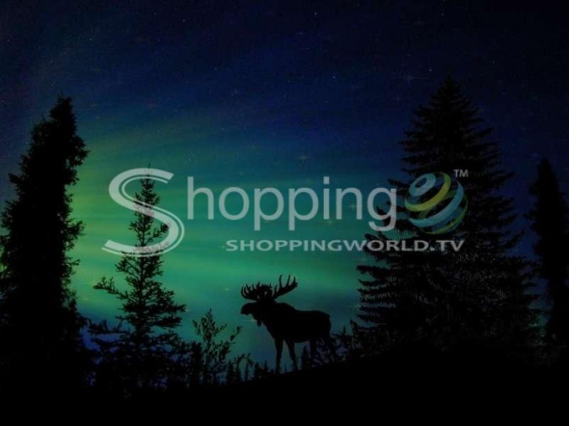 Northern lights & chena hot springs tour in Fairbanks - Tour in  Fairbanks