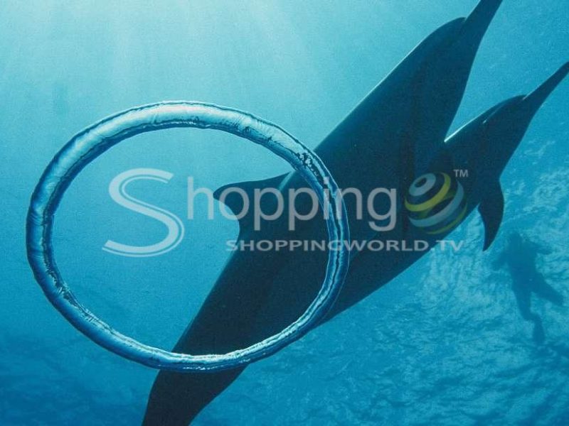 Oahu dolphin swim and snorkeling trip in USA - Tour in Hawaii
