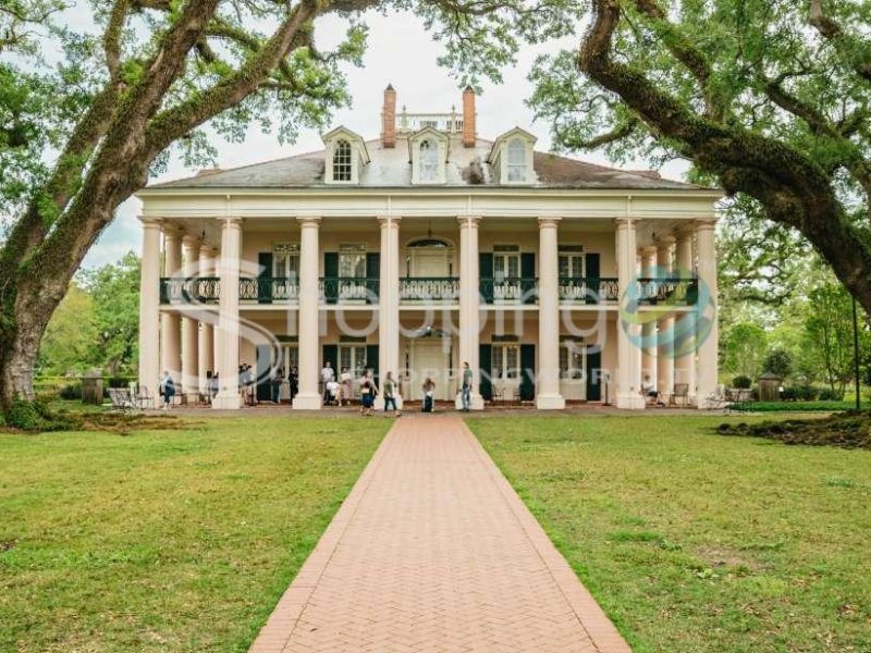 Oak alley plantation and swamp cruise day trip in New Orleans - Tour in  New Orleans