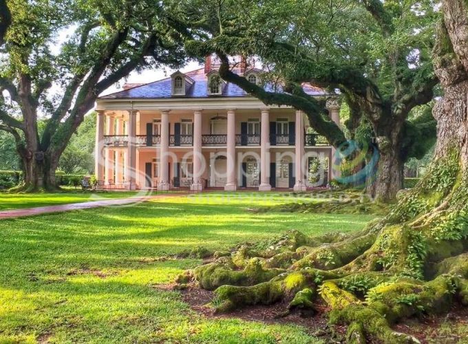 Oak alley plantation half-day tour in USA - Tour in New Orleans