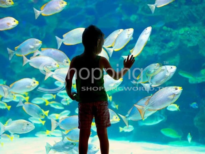 Oceanographic museum of monaco ticket in Monaco - Tour in Monaco from Shopping World TV