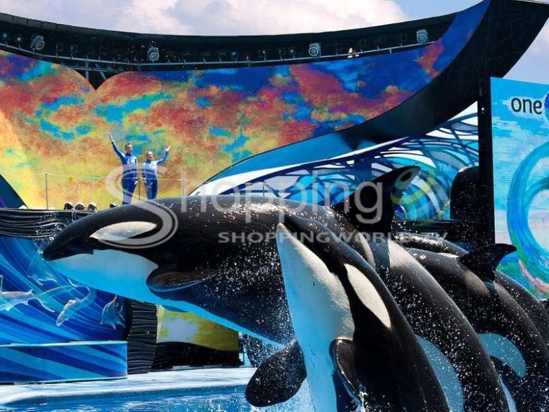 Park admission ticket in Orlando - Tour in  Orlando