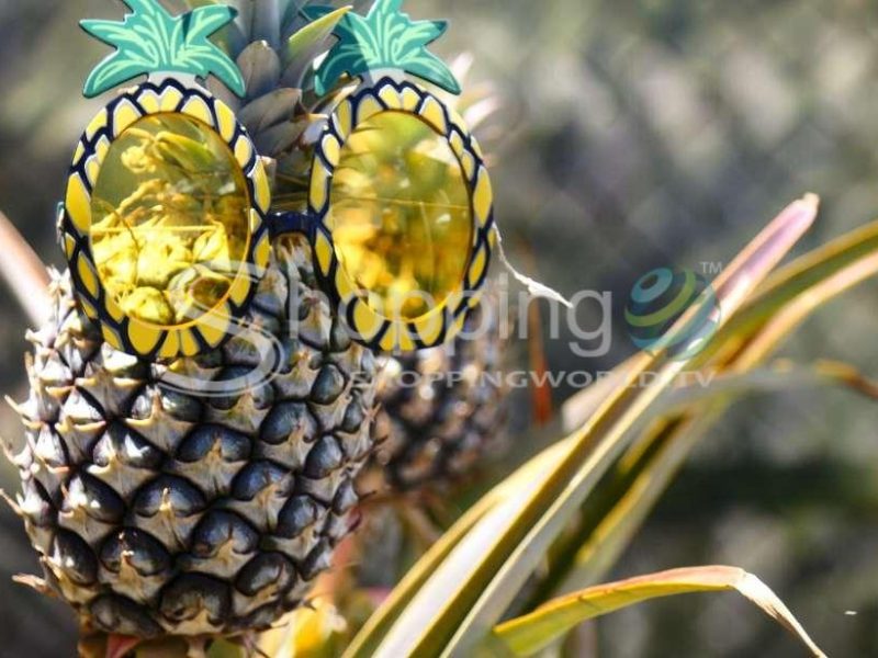 Pineapple tour in USA - Tour in Hawaii