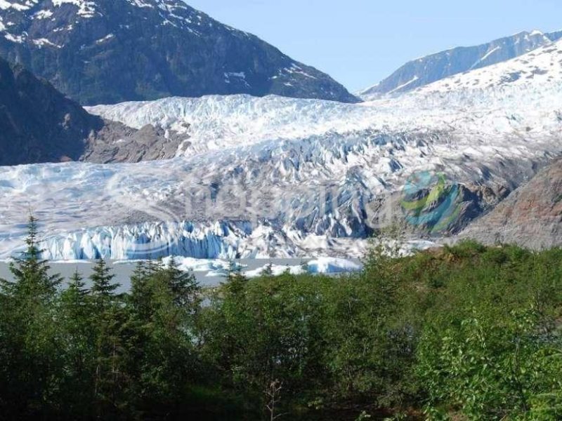 Premier whale watch and mendenhall glacier combo in USA - Tour in Juneau