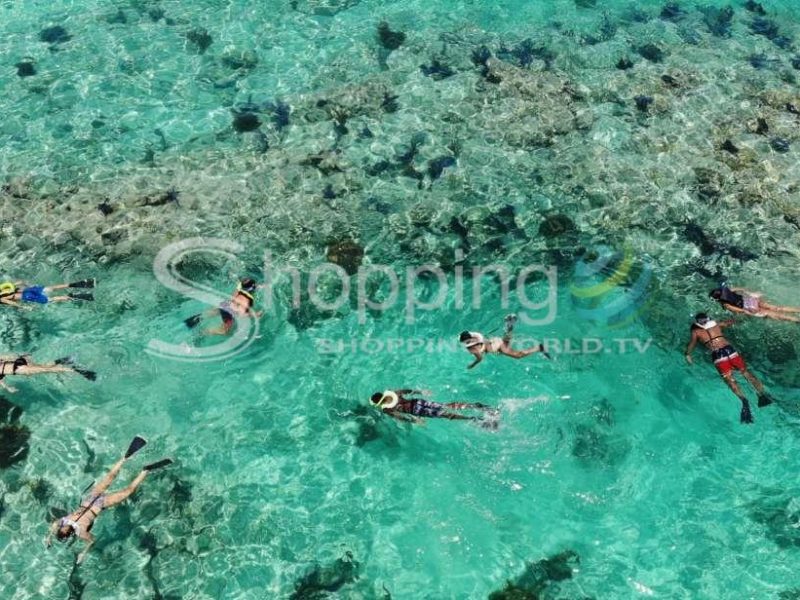 Reef snorkel morning tour with breakfast & mimosas in Key West - Tour in  Key West