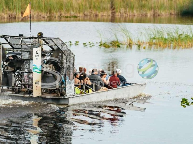 Sawgrass park day time airboat tour & exhibits in Miami - Tour in  Miami