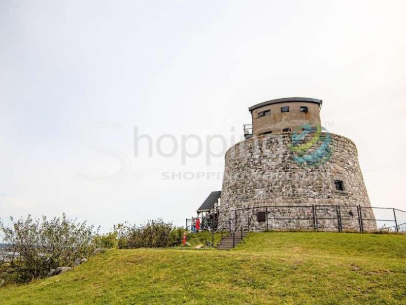 Scenic evening tour in Saint John - Tour in  Saint John
