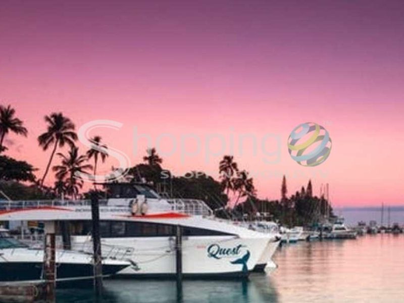 Scenic sunset cruise with 4-course dinner and drinks in Hawaii - Tour in  Hawaii