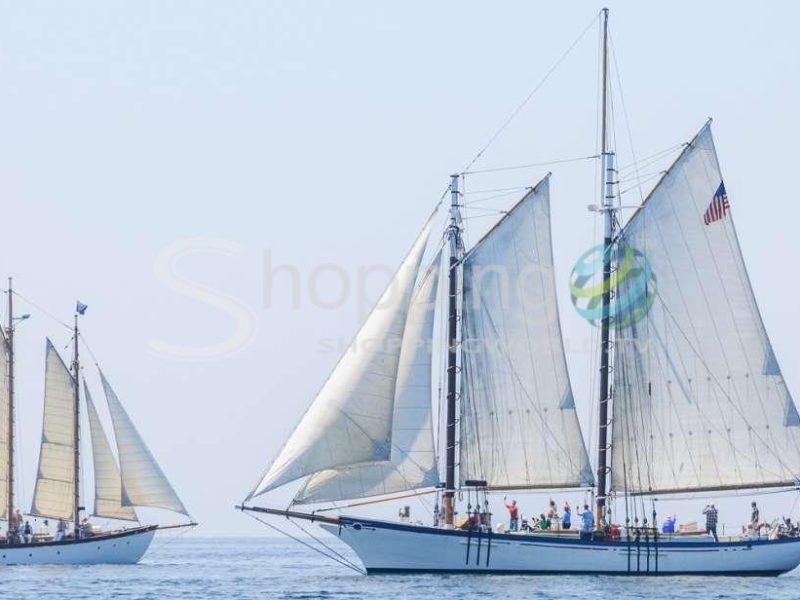 Schooner tall ship cruise on casco bay in Portland - Tour in  Portland
