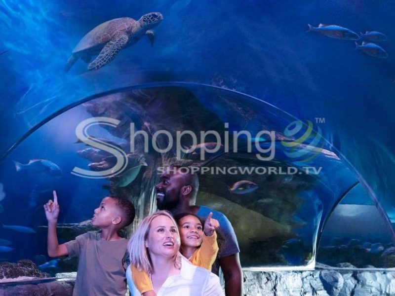Sea life grapevine aquarium general admission in Texas - Tour in  Texas