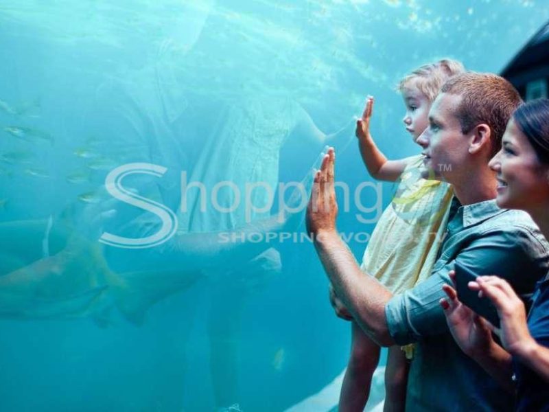 Sea life orlando aquarium in Orlando - Tour in  Orlando