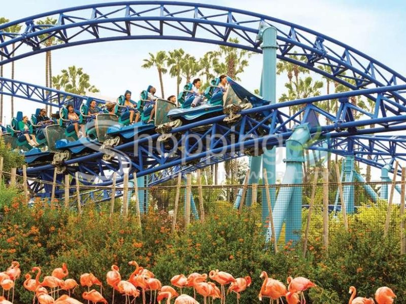 Seaworld skip the line park admission ticket in San Diego - Tour in  San Diego