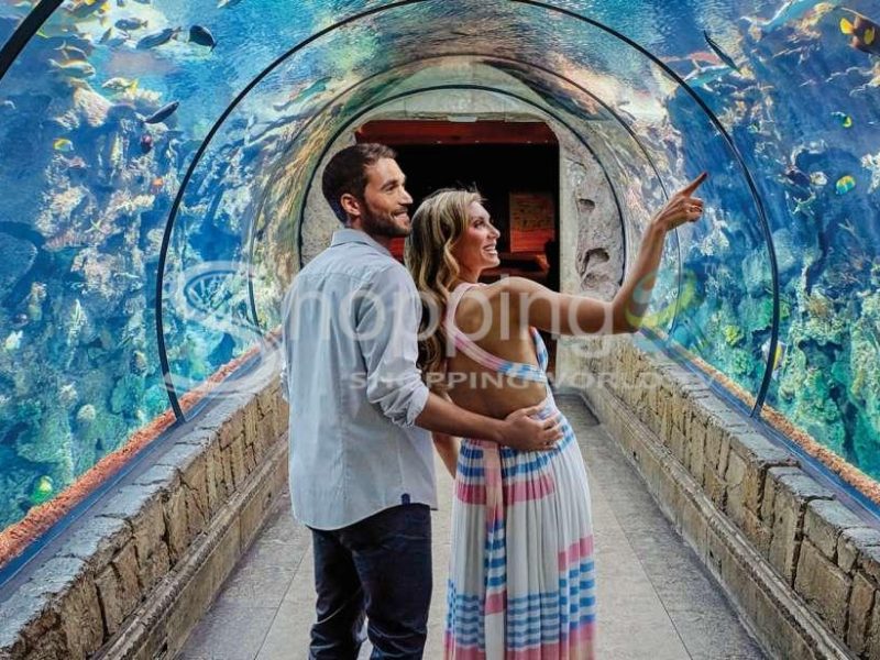 Shark reef aquarium & vr experience entry ticket in Las Vegas - Tour in  Las Vegas