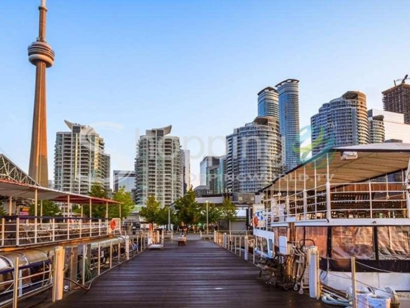 Shuttle transfer between downtown and niagara falls in Toronto - Tour in  Toronto