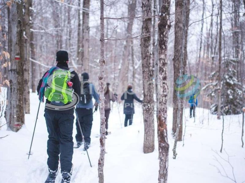Skiing excursion in Quebec City - Tour in  Quebec City