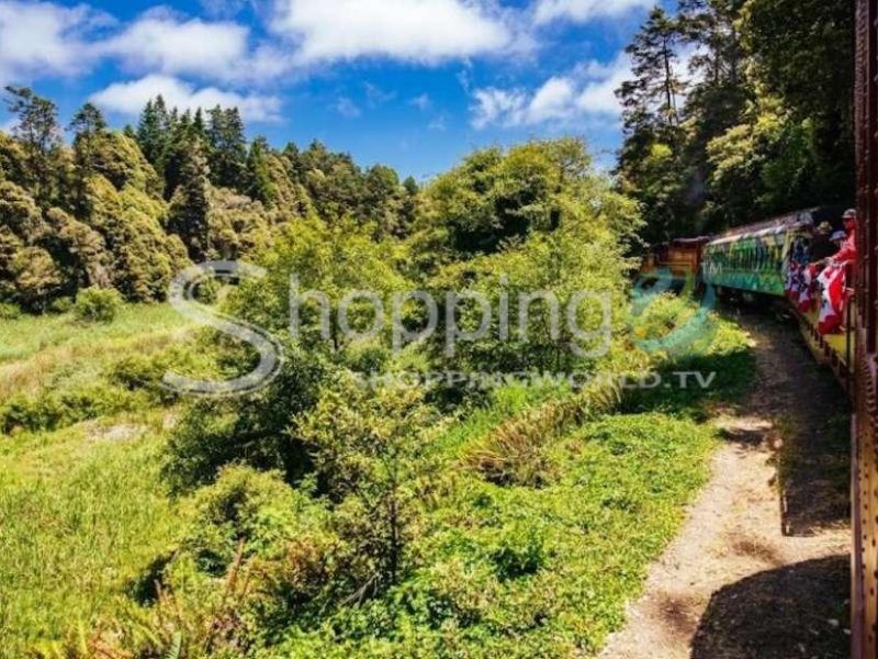 Skunk train pudding creek train ride in California - Tour in  California