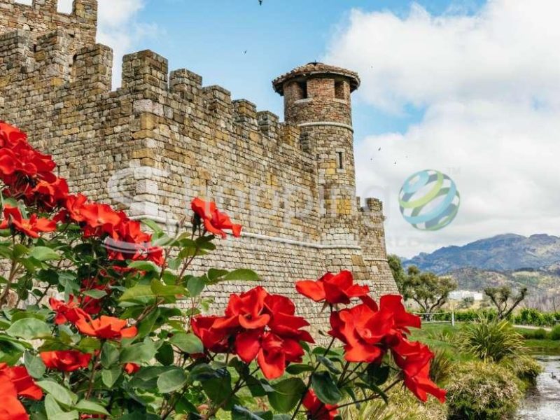 Small group napa valley tour for wine lovers in San Francisco - Tour in  San Francisco