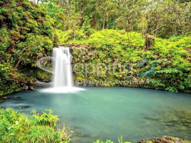 Small group road to hana tour with a local in USA - Tour in Dana Point