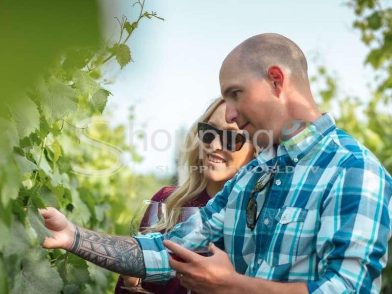 Small group sonoma wine tour with tastings in San Francisco - Tour in  San Francisco
