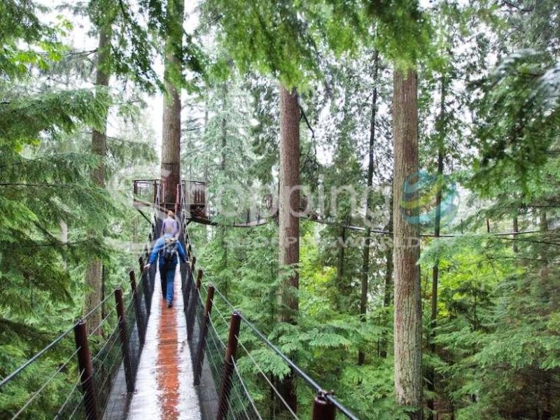 Small group tour of capilano bridge & grouse mountain in Vancouver - Tour in  Vancouver