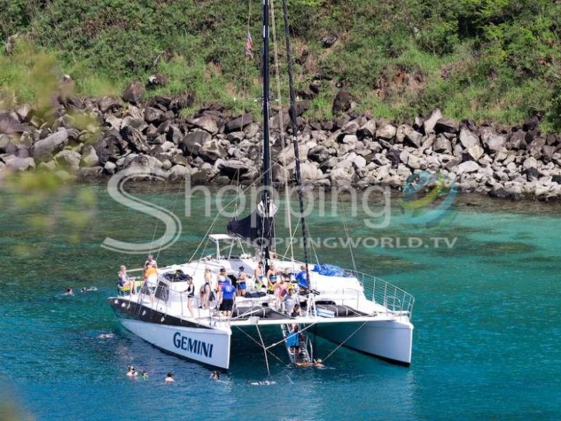 Snorkeling and whale watching cruise with buffet lunch in USA - Tour in Hawaii